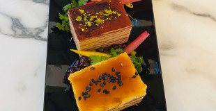 collection terre 